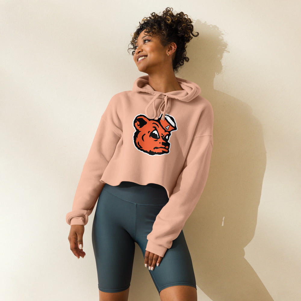 Alexandria High School Design 2 — Peach