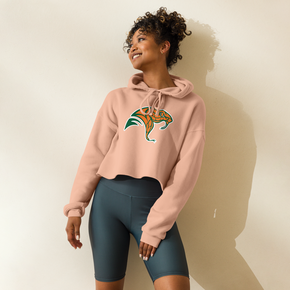Mojave High School Design 2 — Peach