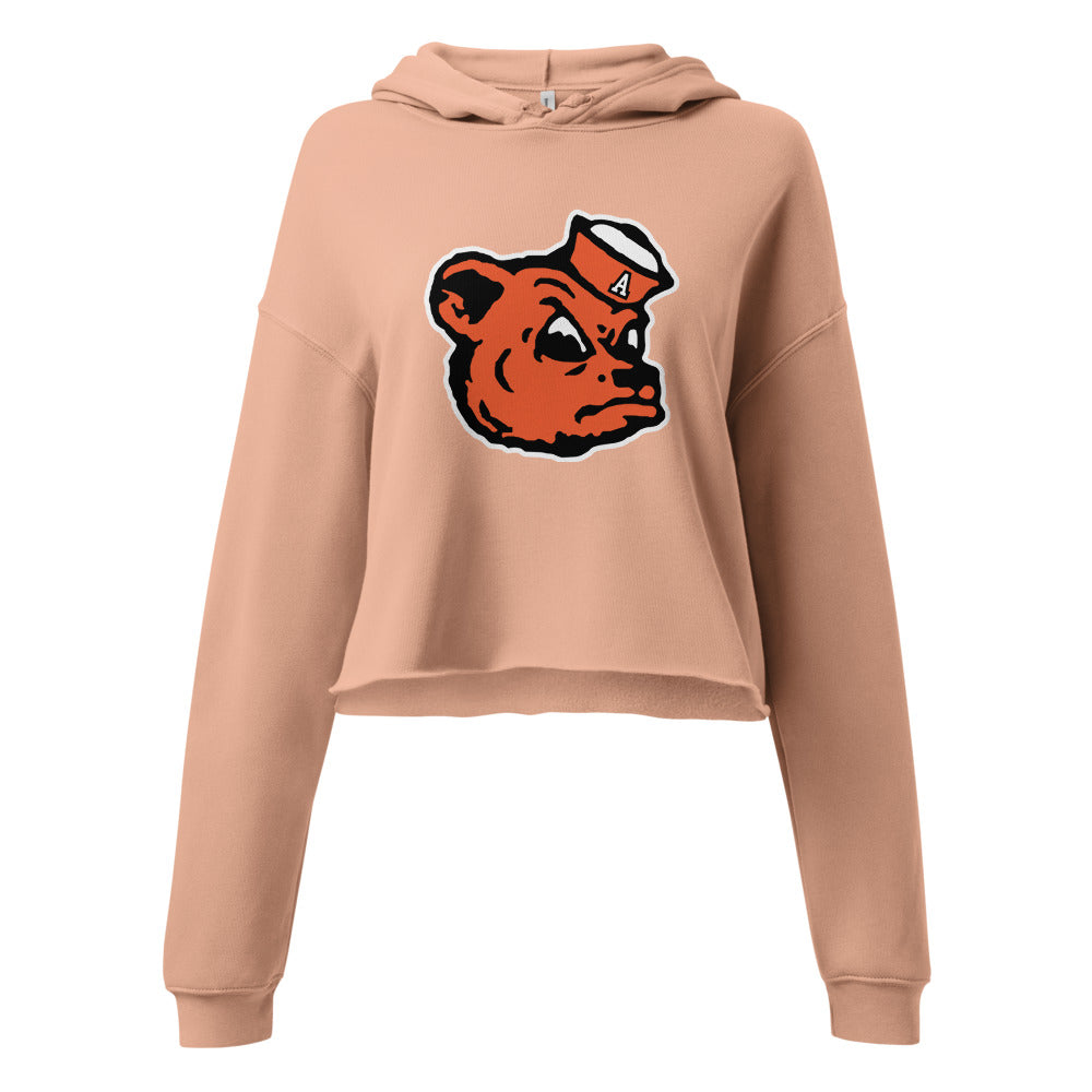Alexandria High School Design 2 — Peach