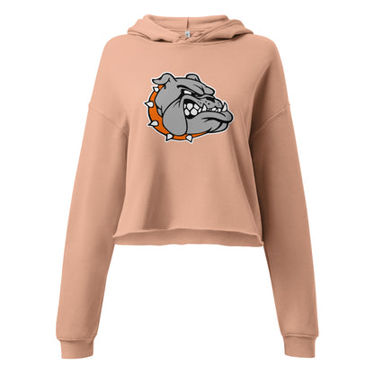 Ashville High School Design 2 — Peach