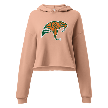 Mojave High School Design 2 — Peach