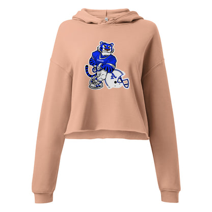 Auburn High School Design 2 — Peach