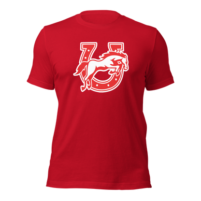 Earl Wooster High School Design 2 — Red
