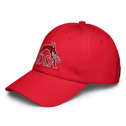Del Sol Academy of the Performing Arts Design 2 — Red