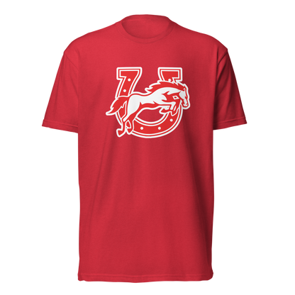 Earl Wooster High School Design 2 — Red