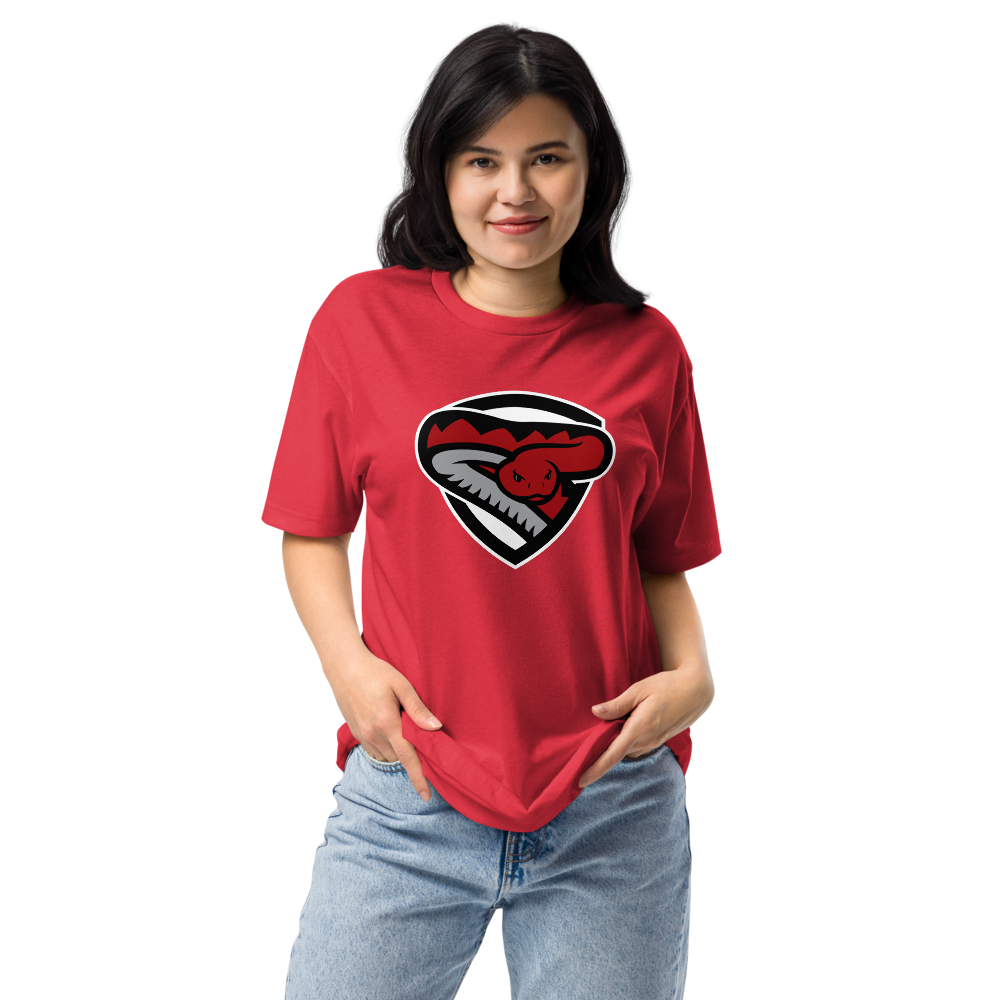 Desert Oasis High School Design 2 — Red