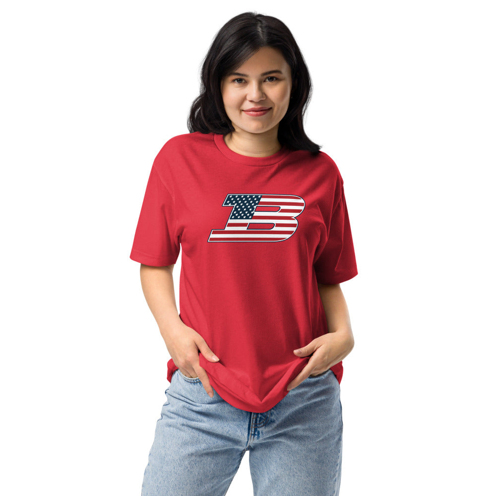 Albert P. Brewer High School Design 2 — Red