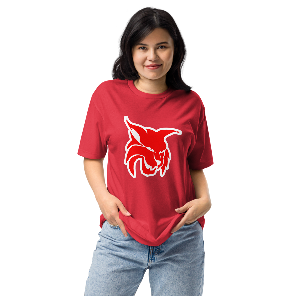 Lincoln County High School Design 2 — Red