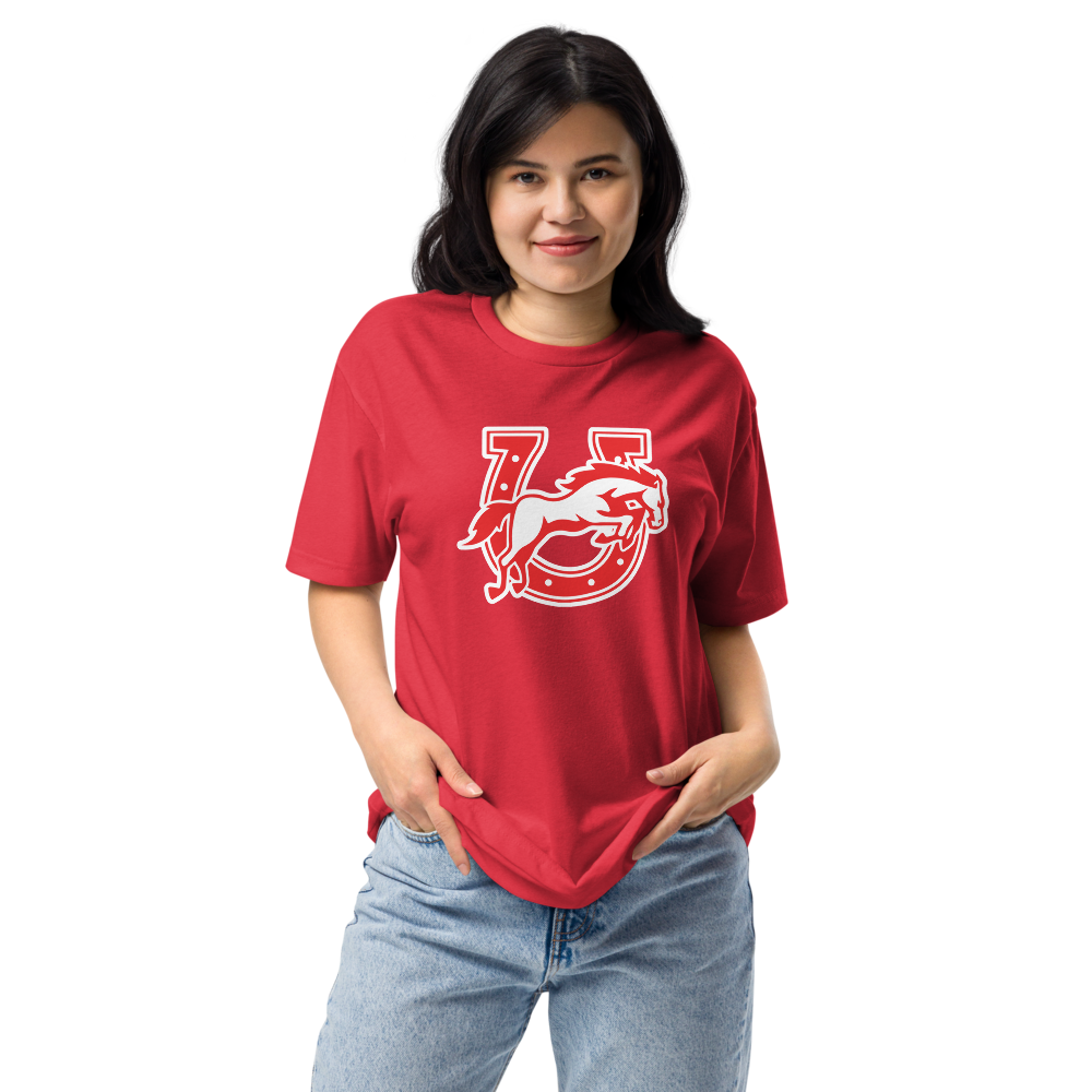 Earl Wooster High School Design 2 — Red