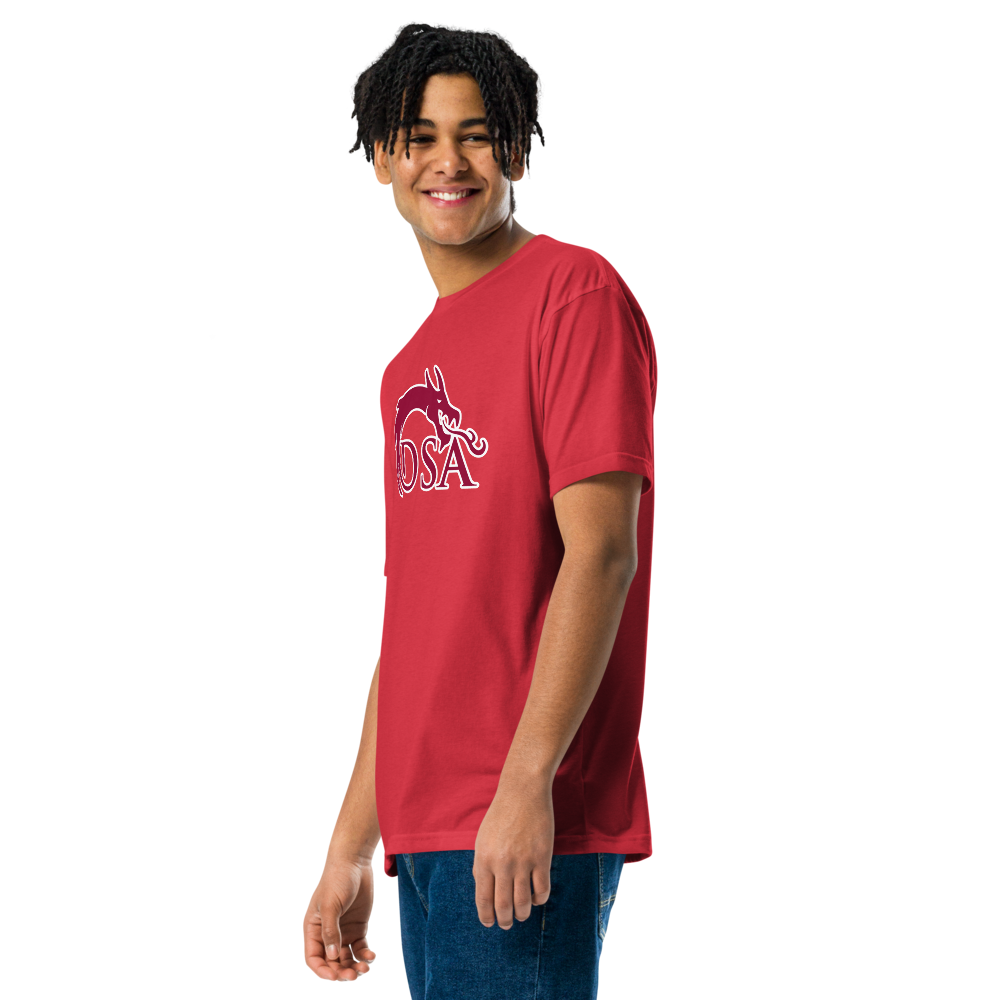 Del Sol Academy of the Performing Arts Design 2 — Red