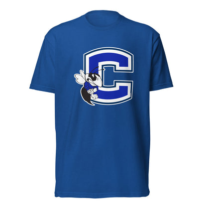 Chelsea HIgh School Design 2 — Royal