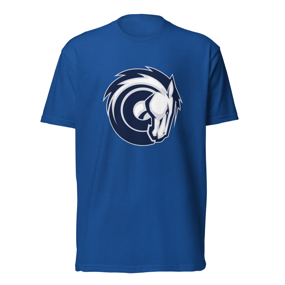 Corner Canyon High School Design 2 — Royal
