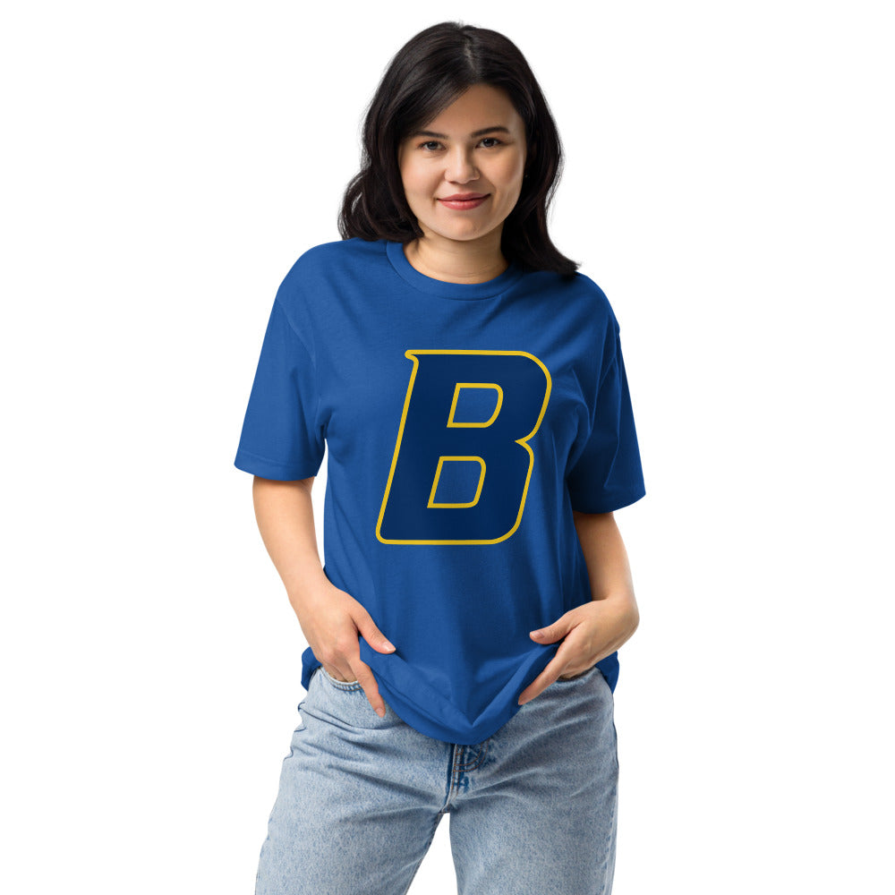 Buckhorn High School Design 2 — Royal