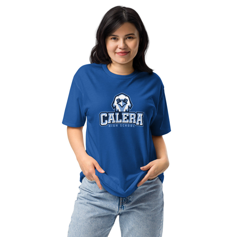 Calera High School Design 2 — Royal
