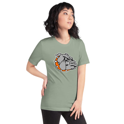 Ashville High School Design 2 — Sage