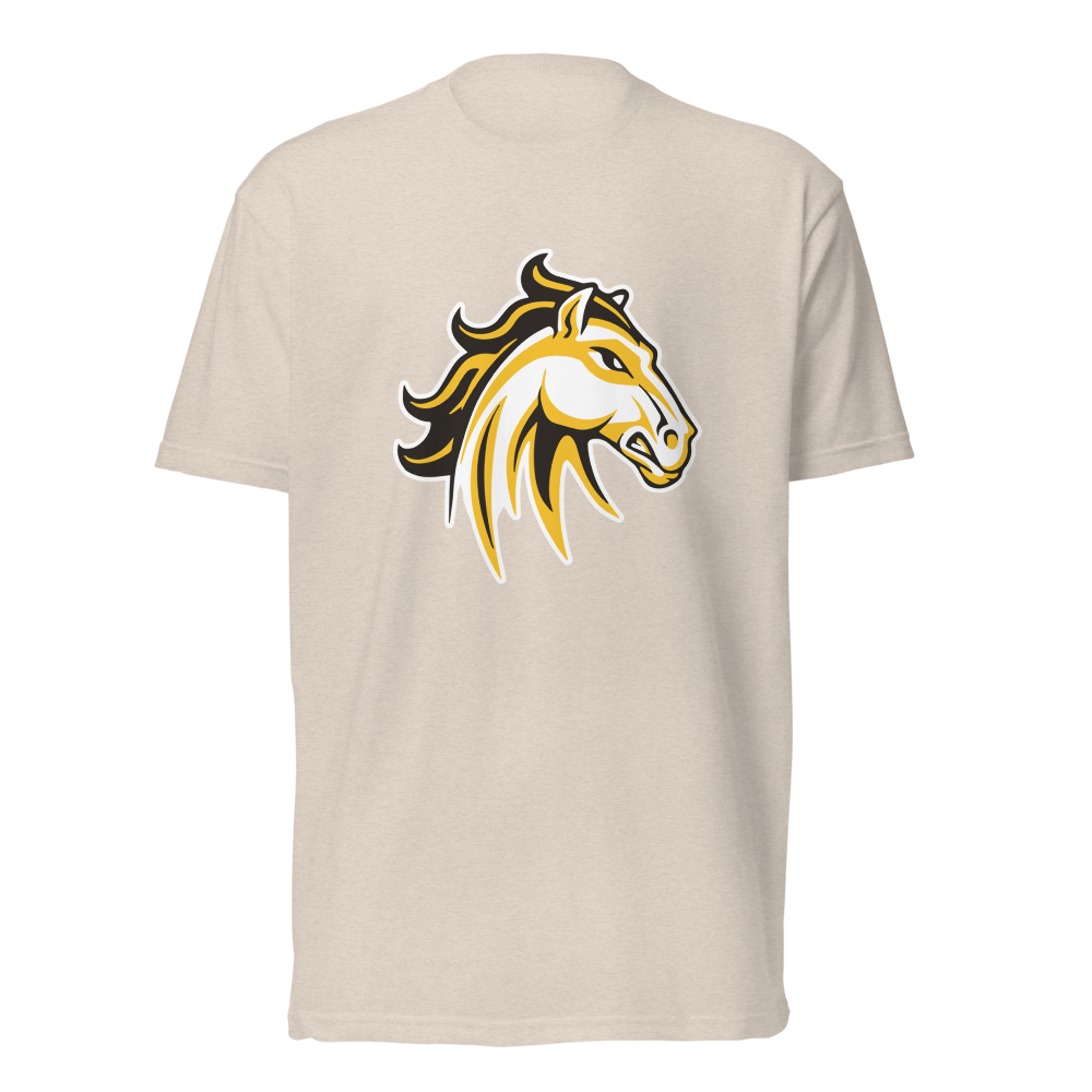 Cottonwood High School Design 2 — Sand