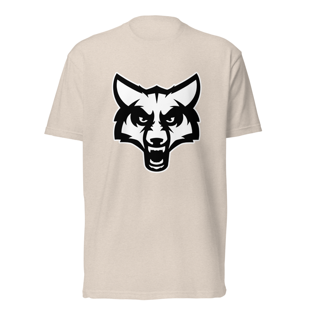 Timpanogos High School Design 2 — Sand