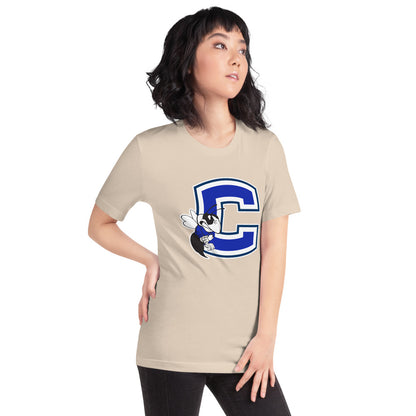 Chelsea HIgh School Design 2 — Soft Cream