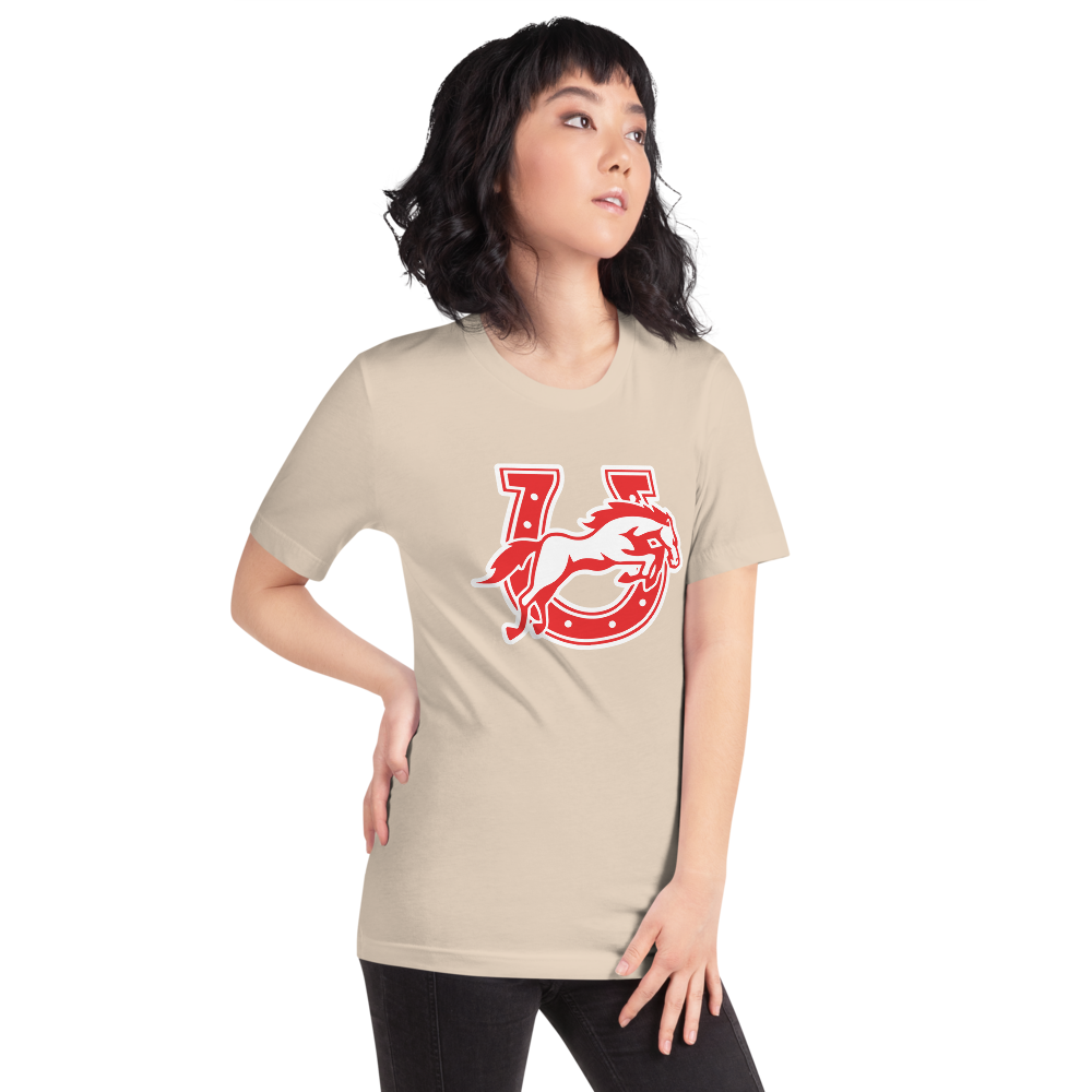 Earl Wooster High School Design 2 — Soft Cream