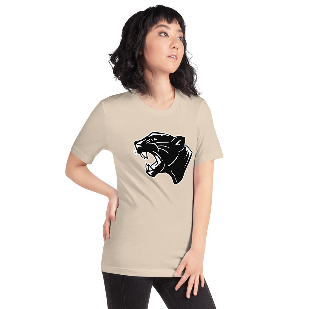 Collinsville High School Design 2 — Soft Cream