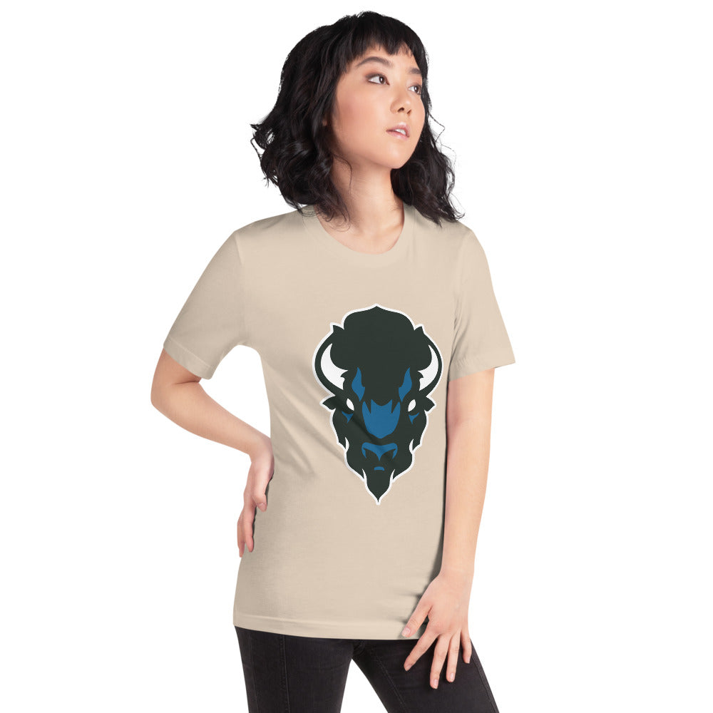 North Sand Mountain High School Design 2 — Soft Cream
