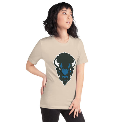 North Sand Mountain High School Design 2 — Soft Cream