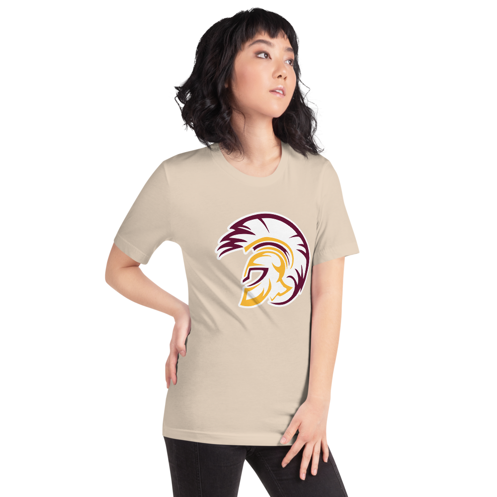 Pahrump Valley High School Design 2 — Soft Cream
