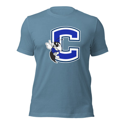 Chelsea HIgh School Design 2 — Steel Blue