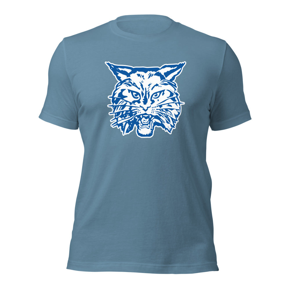 West Limestone High School Design 2 — Steel Blue