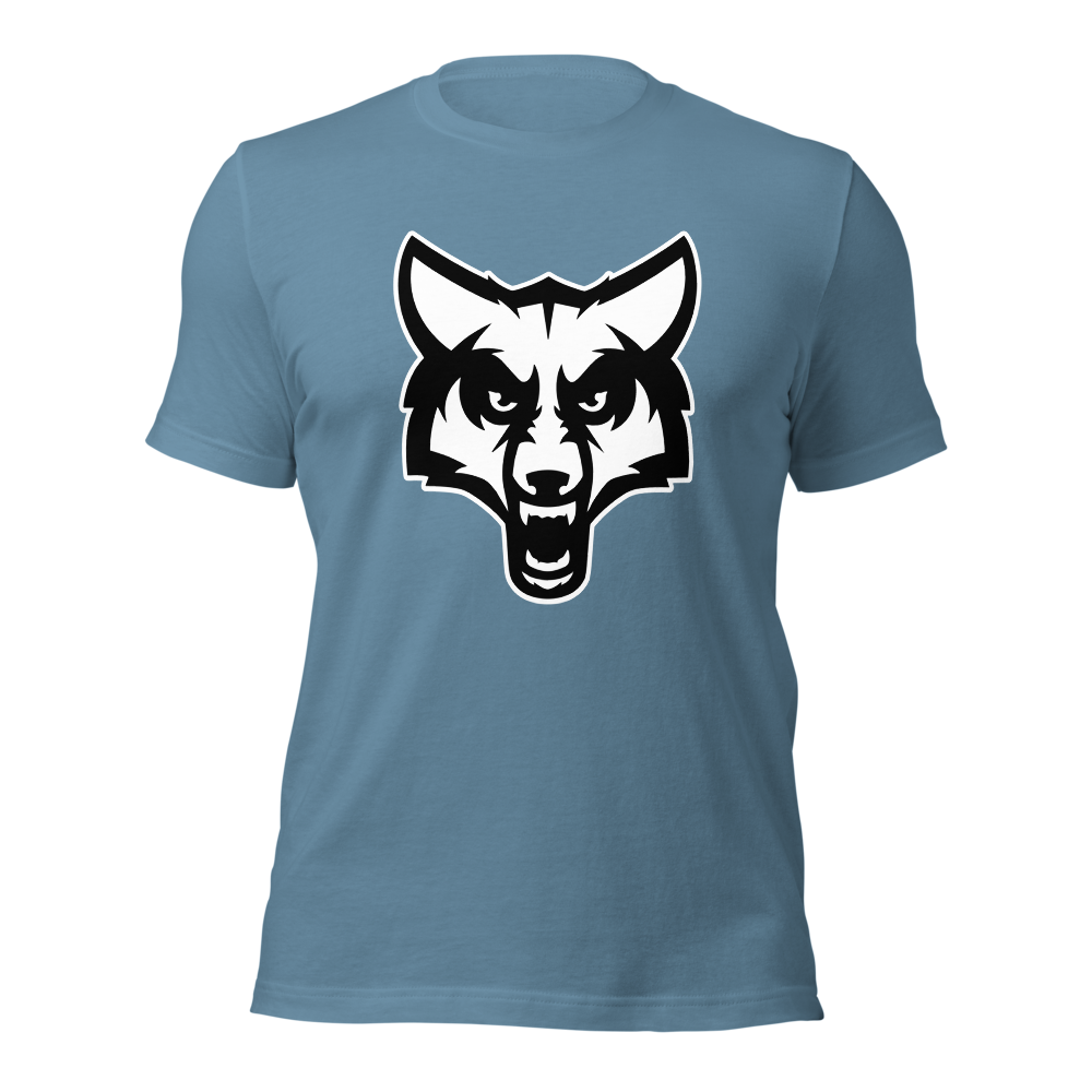 Timpanogos High School Design 2 — Steel Blue