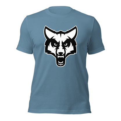 Timpanogos High School Design 2 — Steel Blue