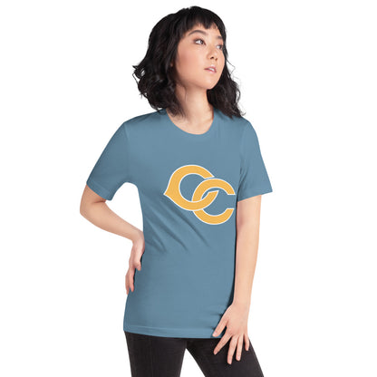 Cherokee County HIgh School Design 2 — Steel Blue