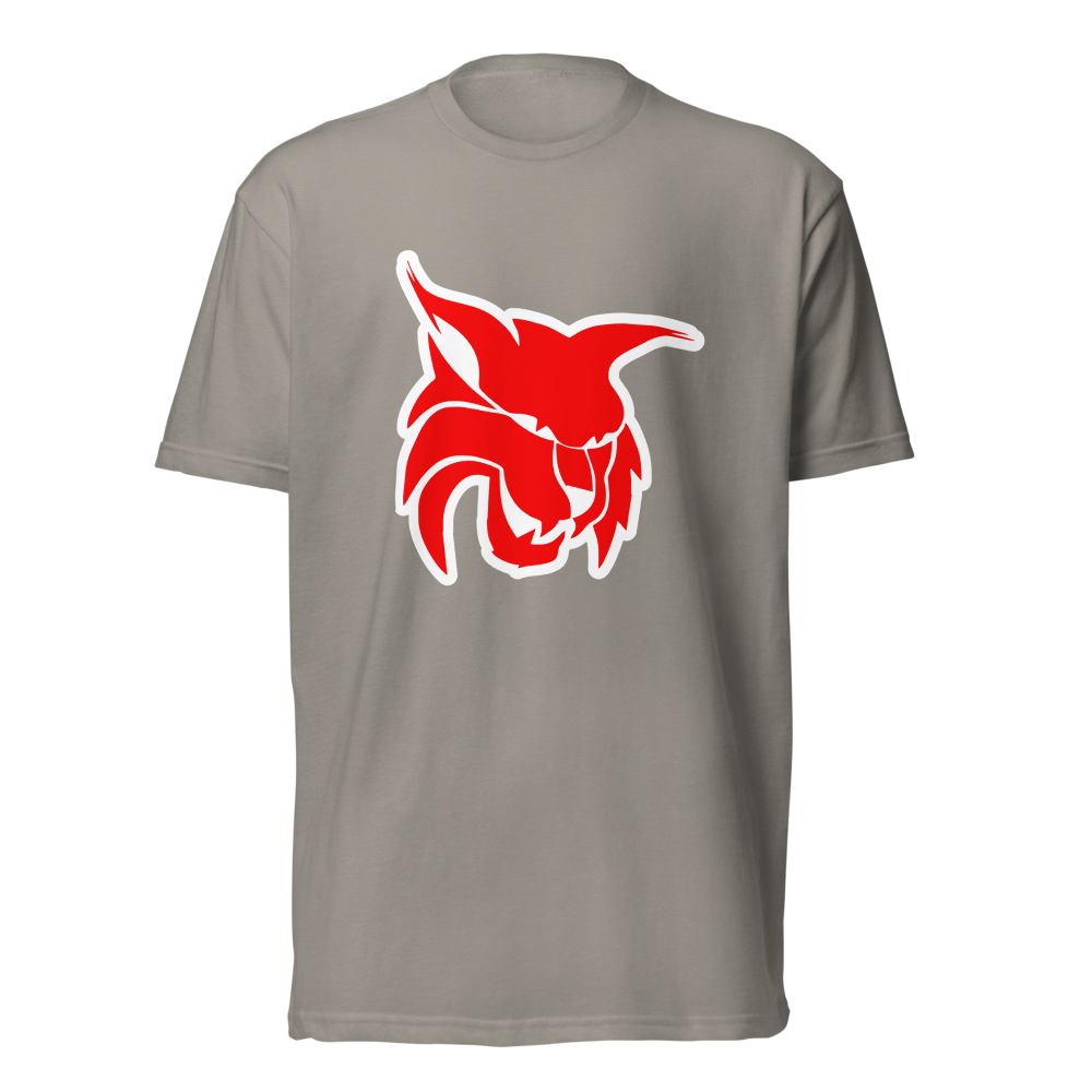 Lincoln County High School Design 2 — Stone Grey