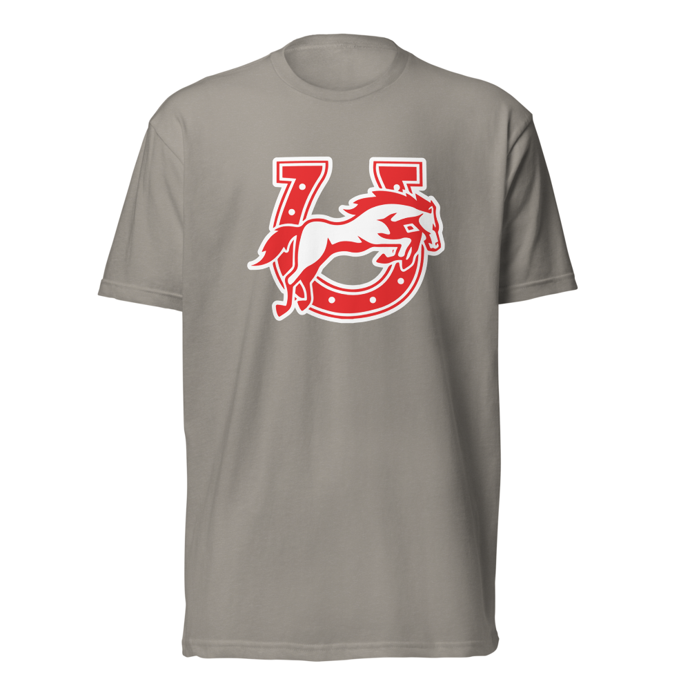 Earl Wooster High School Design 2 — Stone Grey
