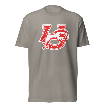 Earl Wooster High School Design 2 — Stone Grey