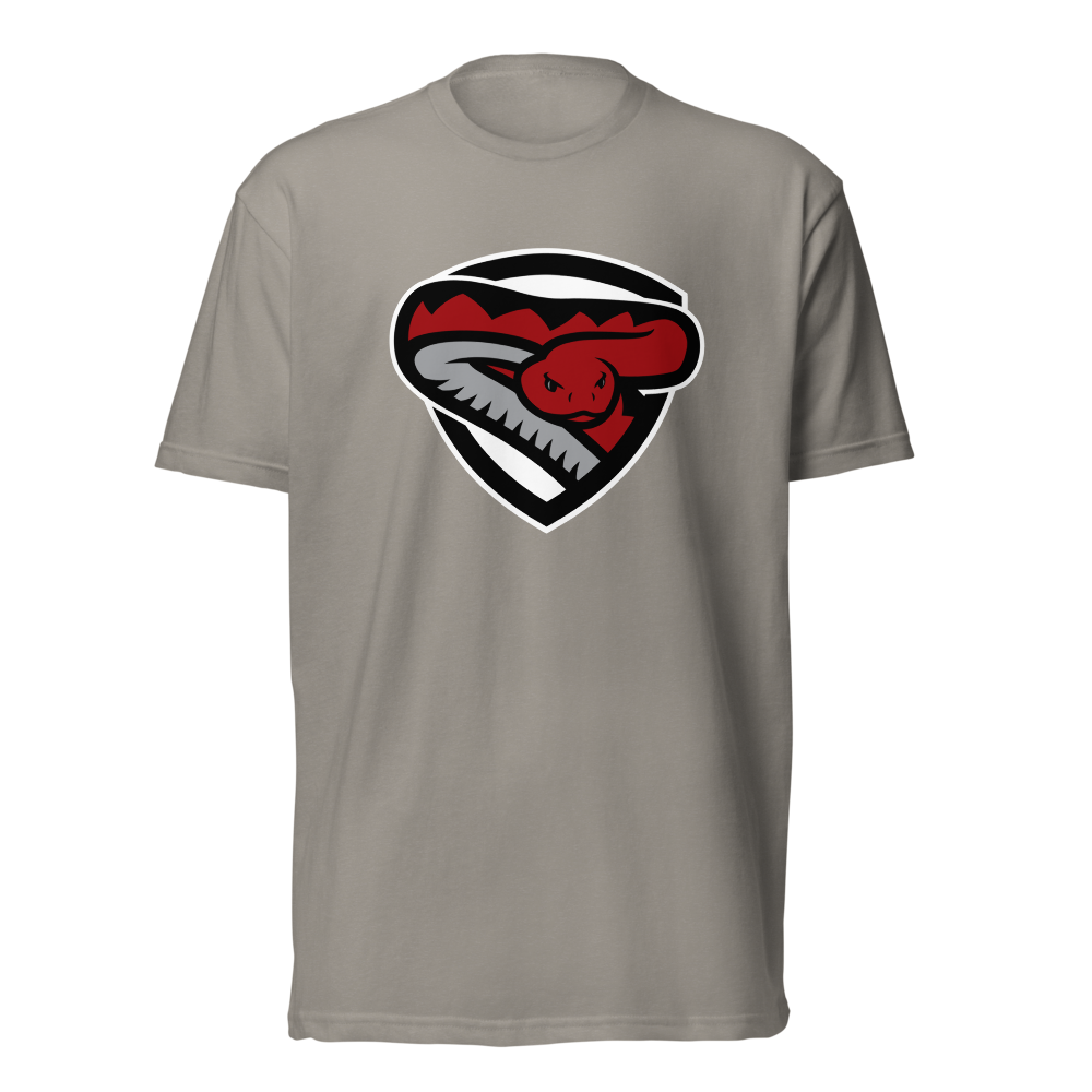 Desert Oasis High School Design 2 — Stone Grey