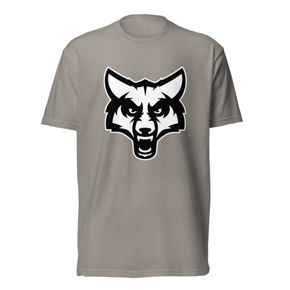 Timpanogos High School Design 2 — Stone Grey