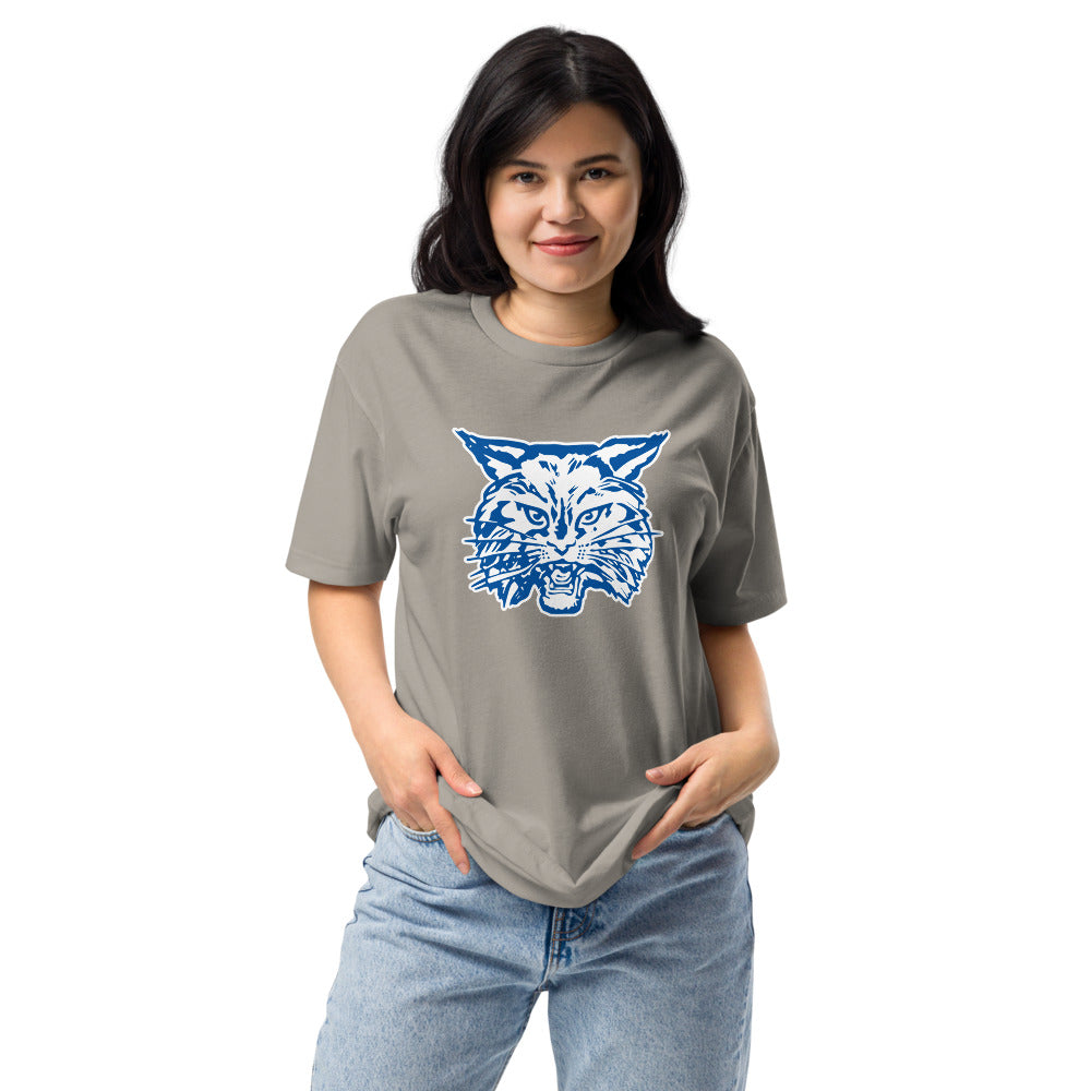 West Limestone High School Design 2 — Stone Grey