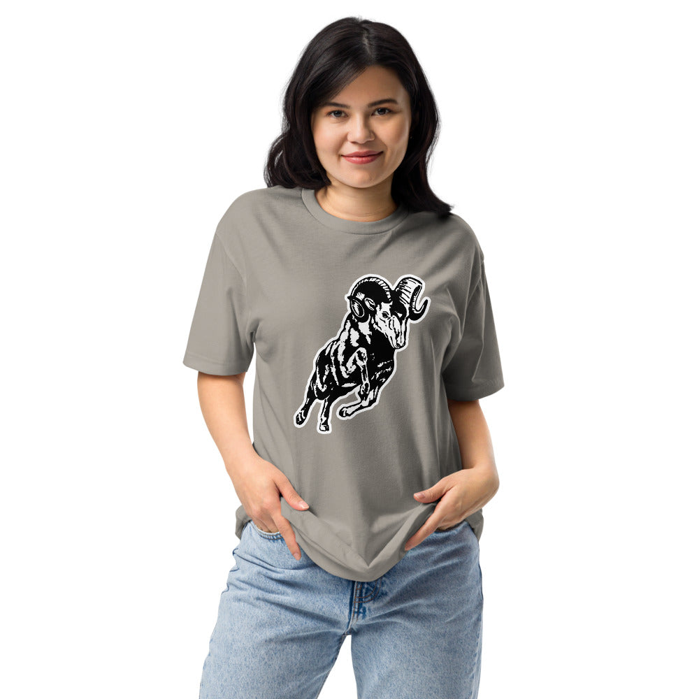 Radford High School Design 2 — Stone Grey
