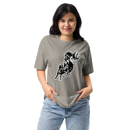 Radford High School Design 2 — Stone Grey