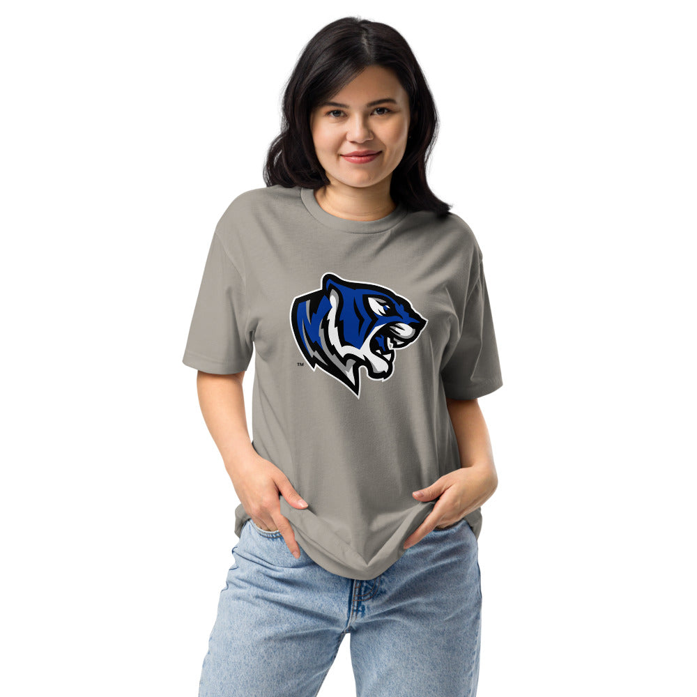Demopolis High School Design 2 — Stone Grey