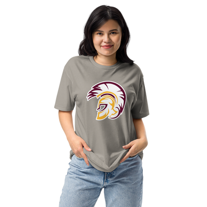 Pahrump Valley High School Design 2 — Stone Grey