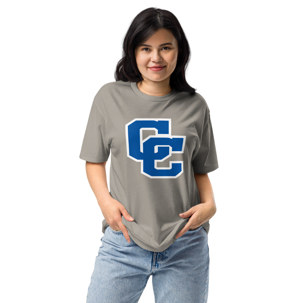 Clarke County High School Design 2 — Stone Grey