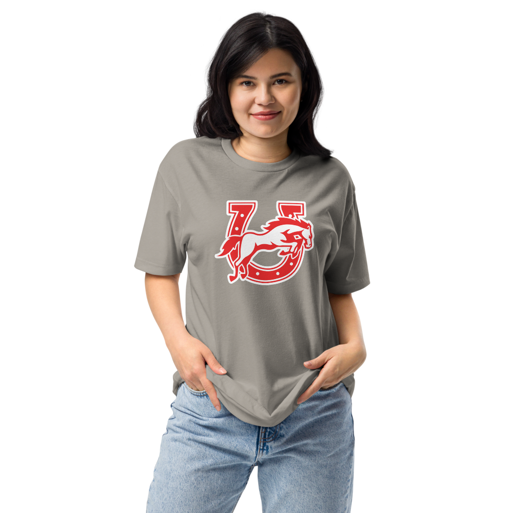 Earl Wooster High School Design 2 — Stone Grey