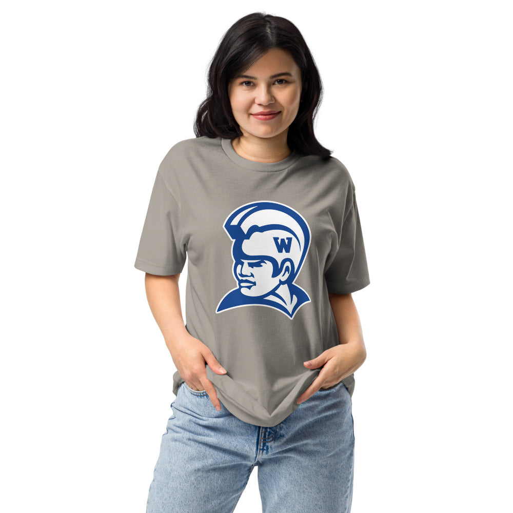 Waimea High School Design 2 — Stone Grey