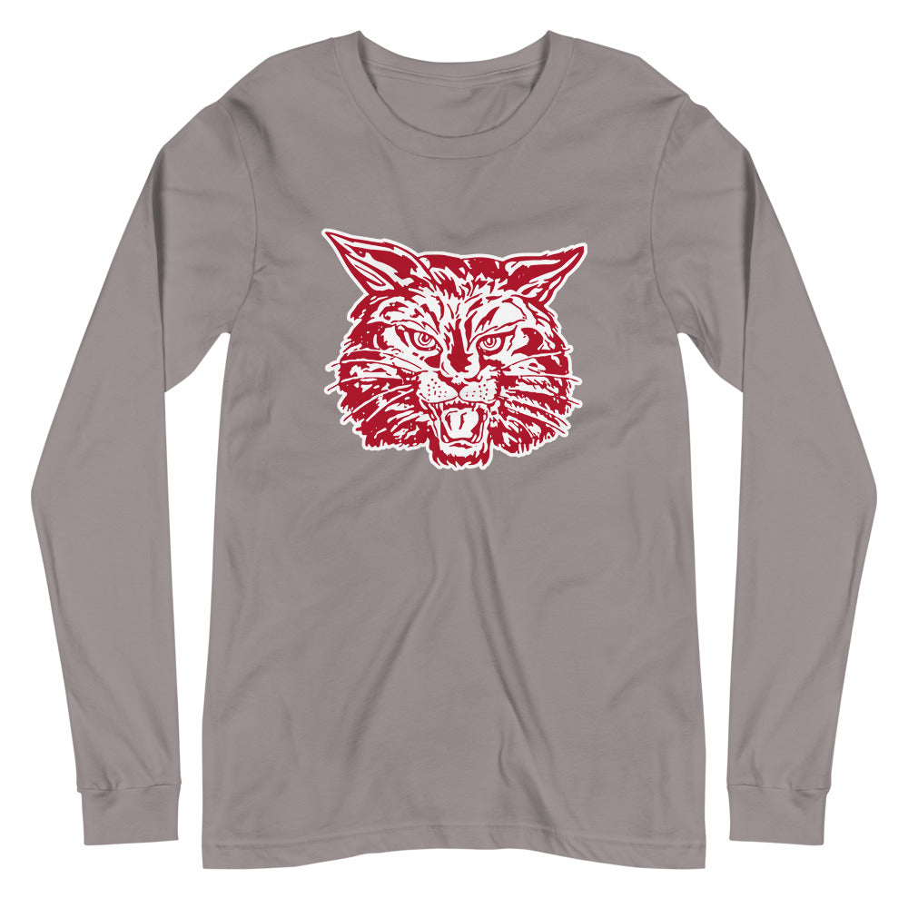 Shelby County High School Design 2 — Storm