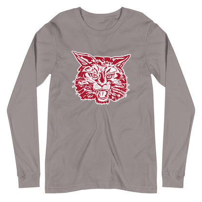 Shelby County High School Design 2 — Storm