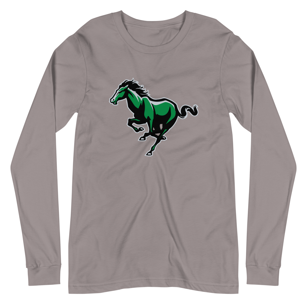 Bryce Valley High School Design 2 — Storm