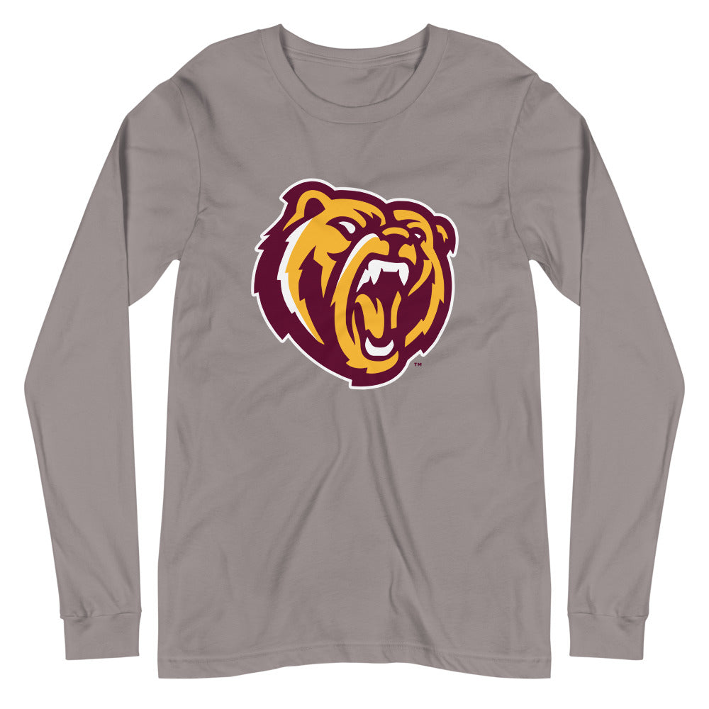 Robertsdale High School Design 2 — Storm
