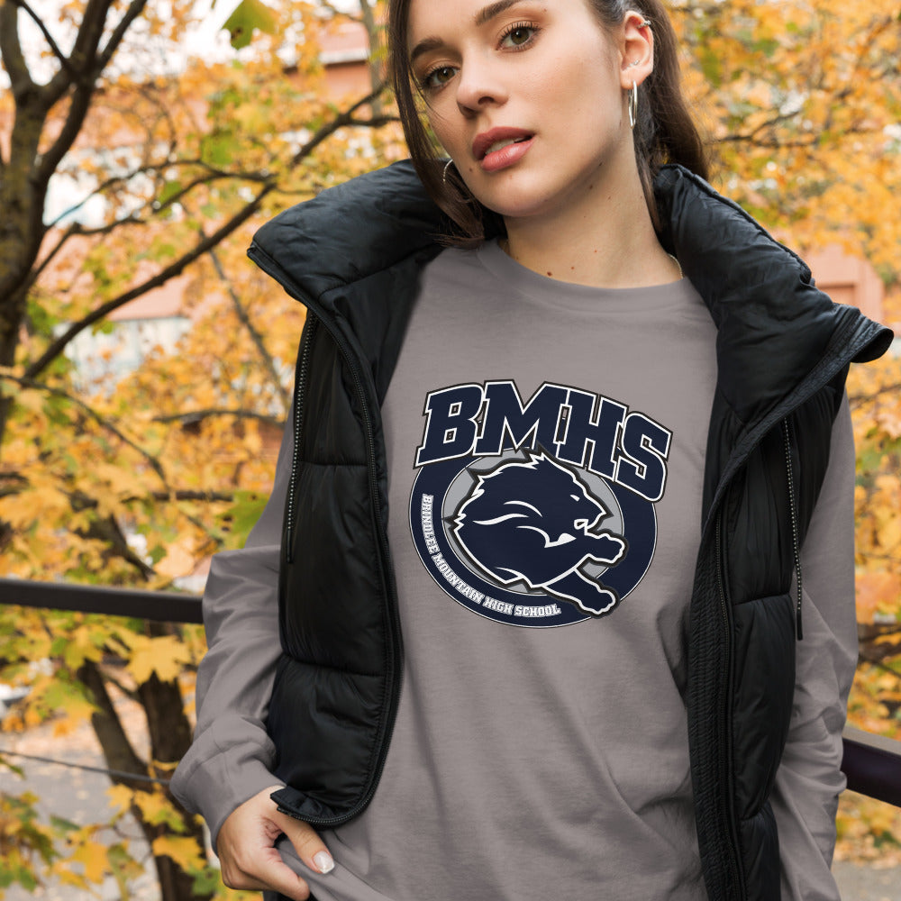 Brindlee Mountain High School Design 2 — Storm
